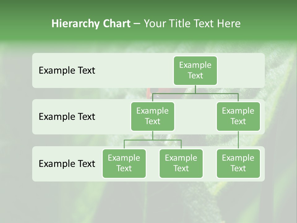Environment Season Clean PowerPoint Template