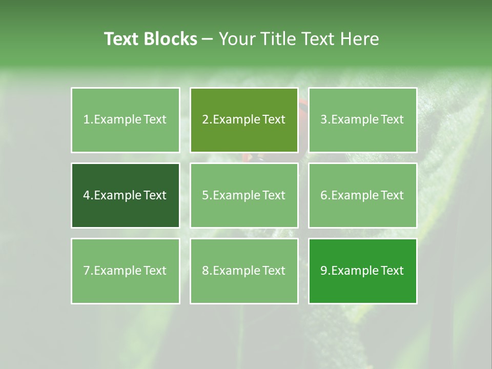 Environment Season Clean PowerPoint Template