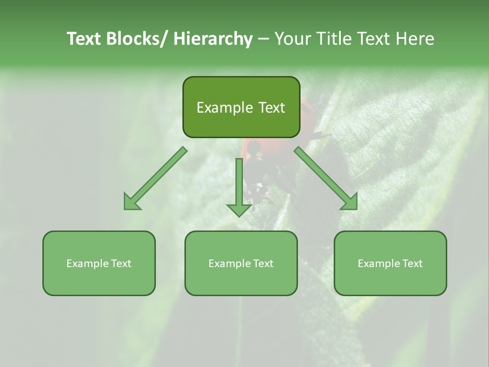 Environment Season Clean PowerPoint Template