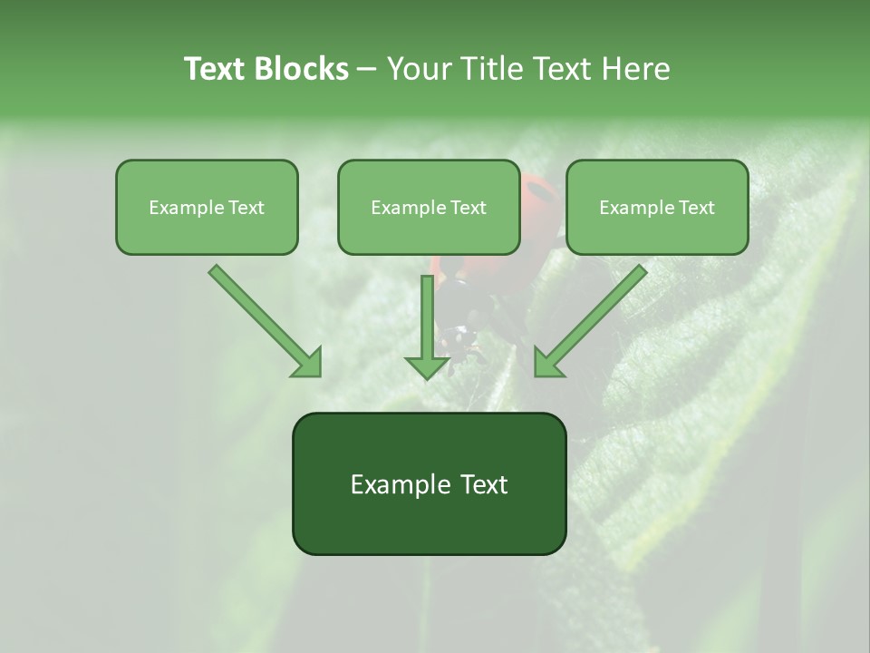 Environment Season Clean PowerPoint Template