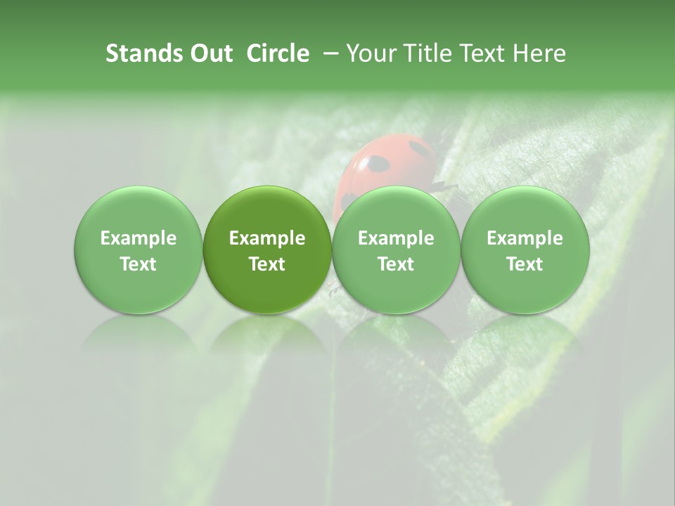 Environment Season Clean PowerPoint Template