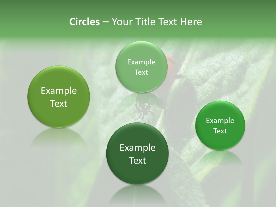 Environment Season Clean PowerPoint Template