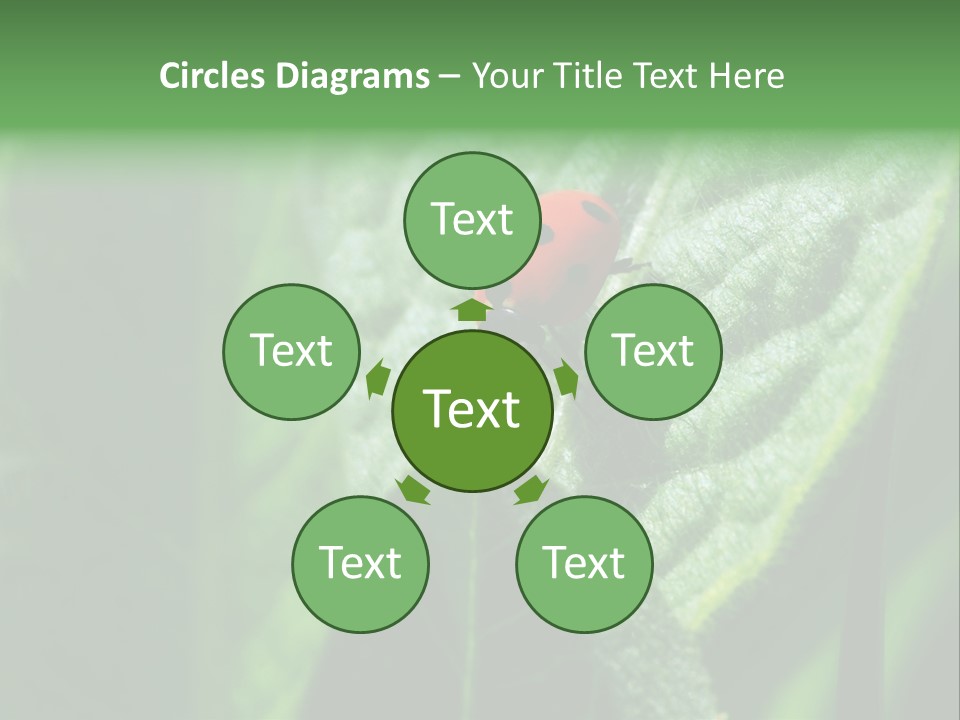 Environment Season Clean PowerPoint Template