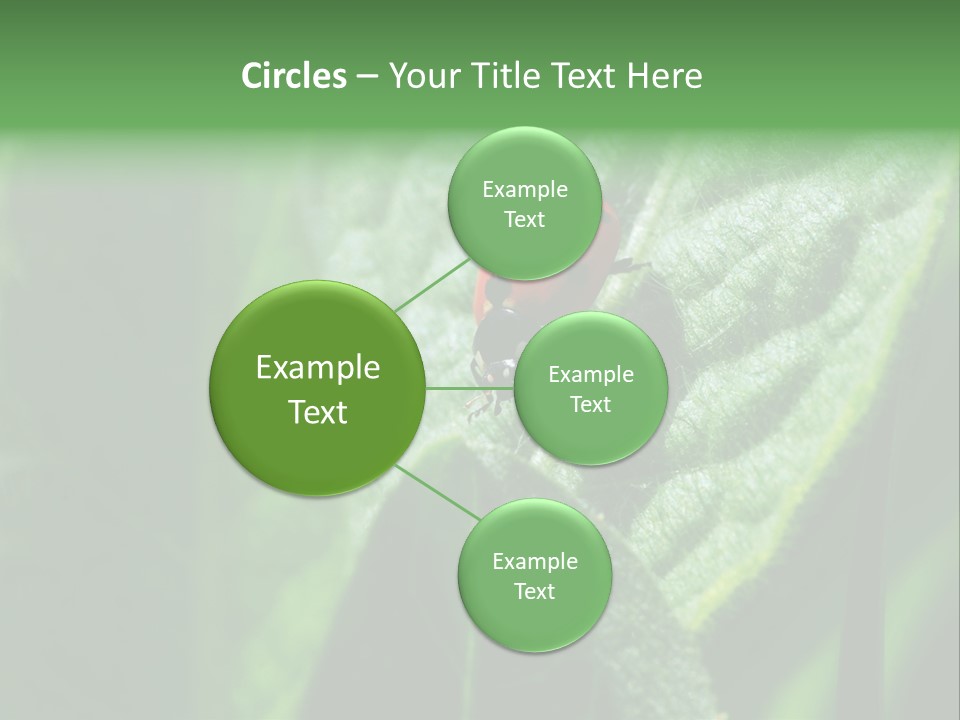 Environment Season Clean PowerPoint Template