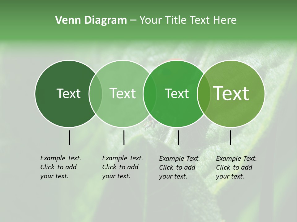 Environment Season Clean PowerPoint Template