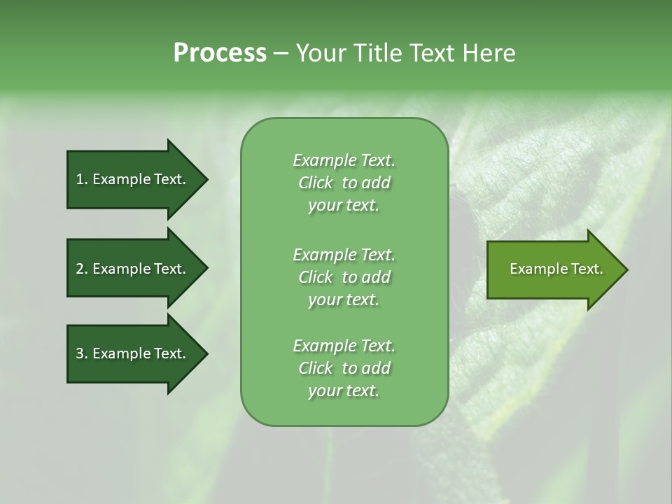 Environment Season Clean PowerPoint Template