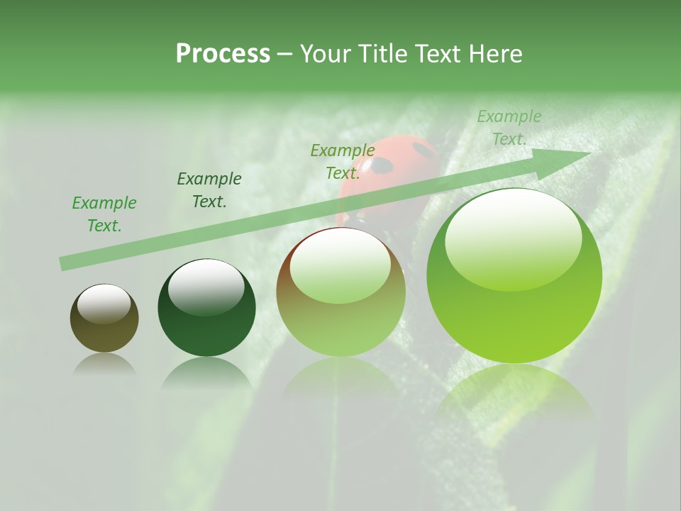 Environment Season Clean PowerPoint Template