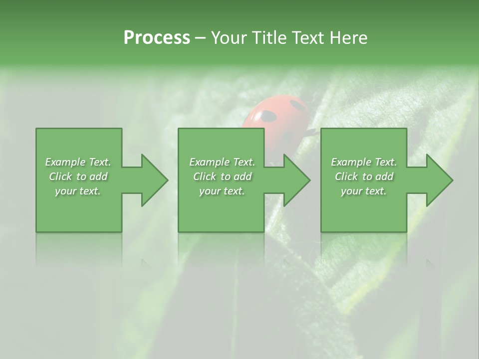Environment Season Clean PowerPoint Template
