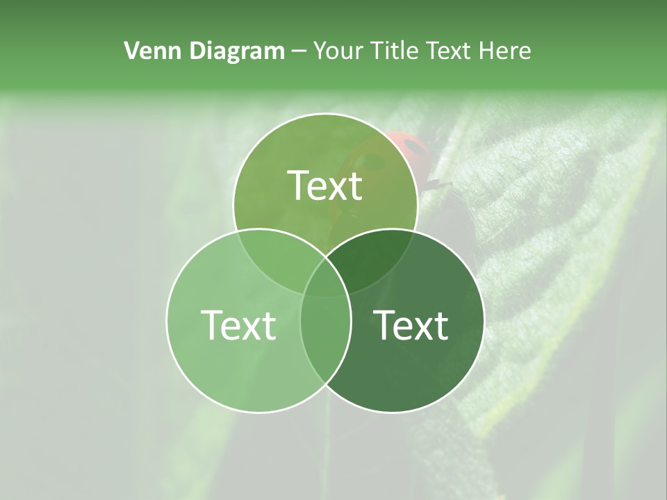 Environment Season Clean PowerPoint Template