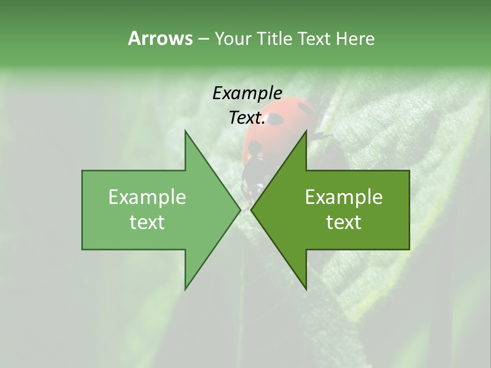 Environment Season Clean PowerPoint Template