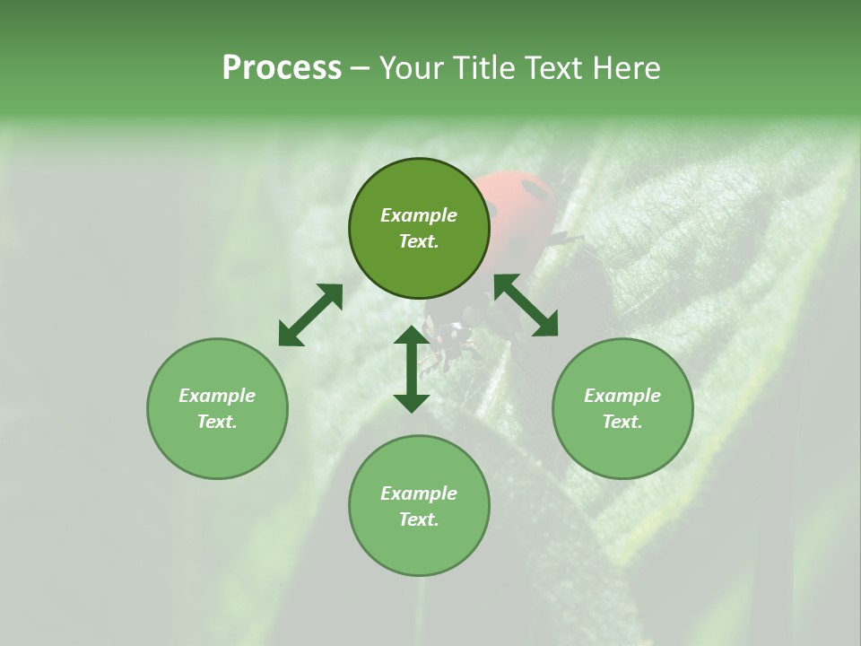 Environment Season Clean PowerPoint Template