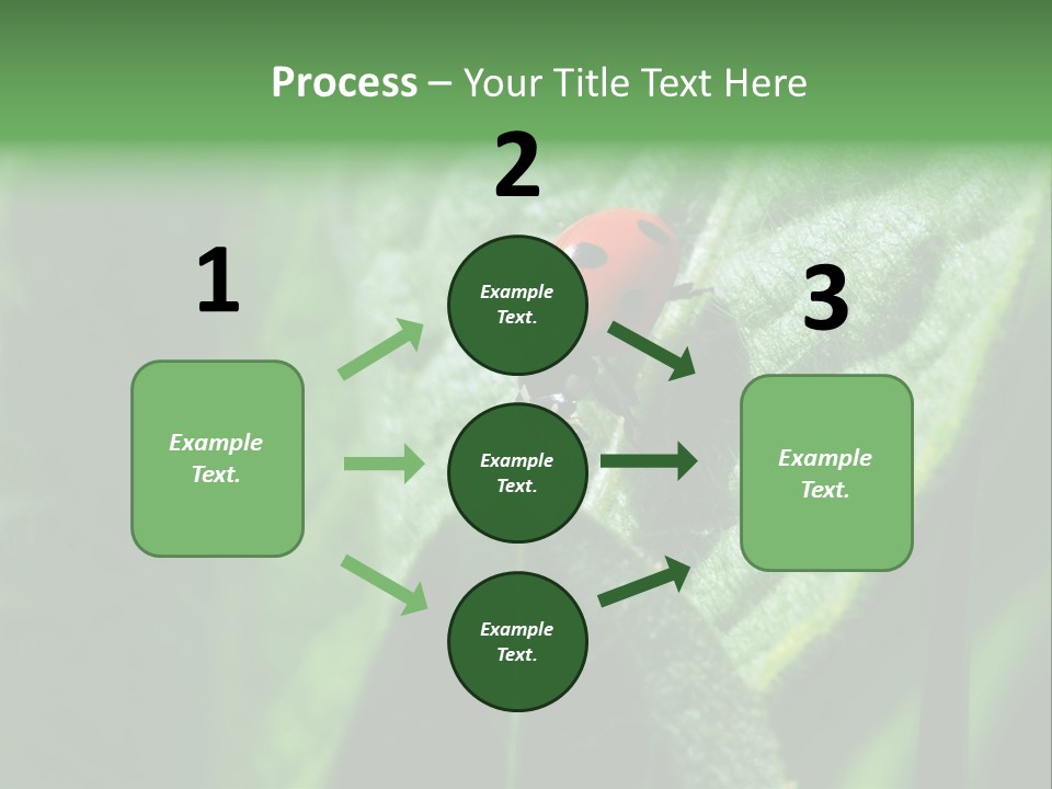 Environment Season Clean PowerPoint Template