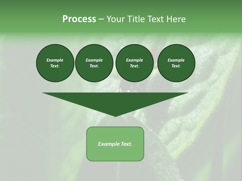 Environment Season Clean PowerPoint Template