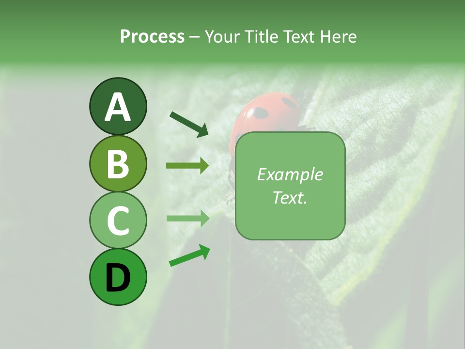 Environment Season Clean PowerPoint Template