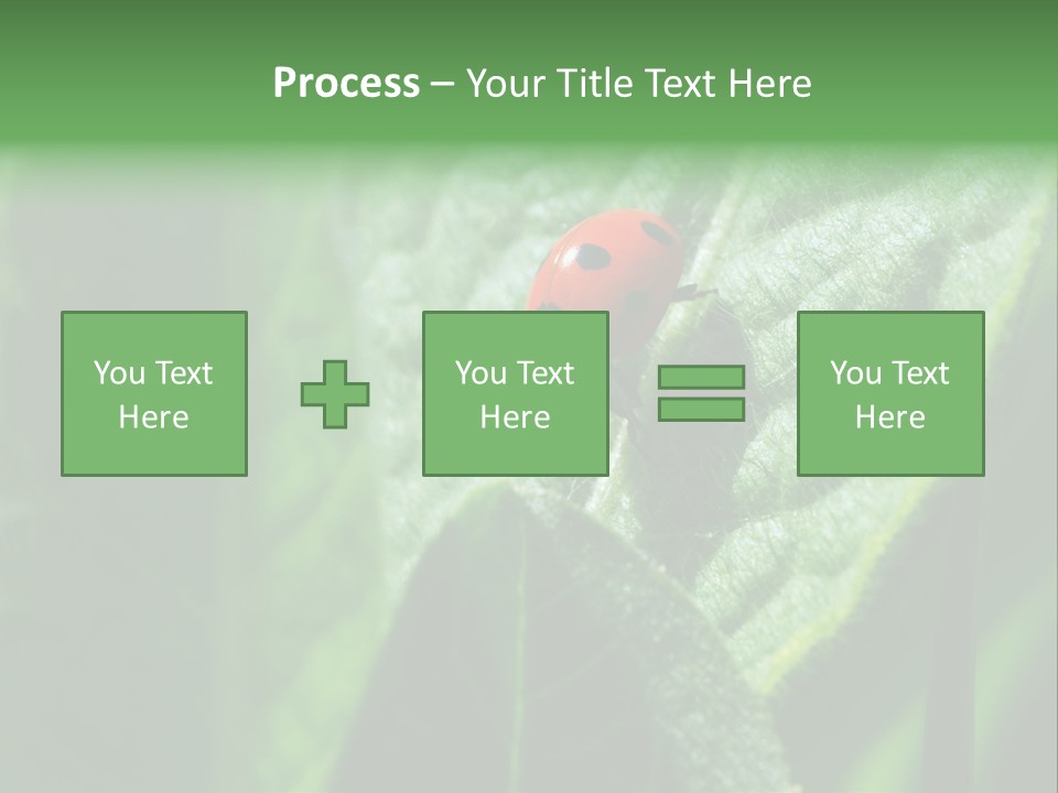 Environment Season Clean PowerPoint Template