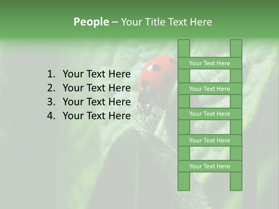 Environment Season Clean PowerPoint Template