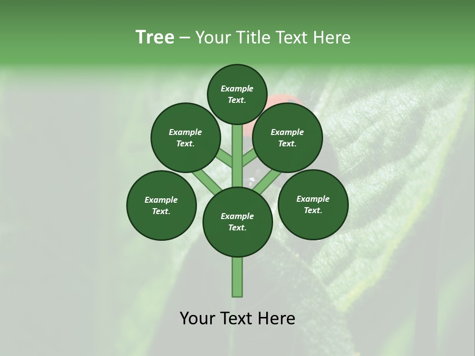 Environment Season Clean PowerPoint Template