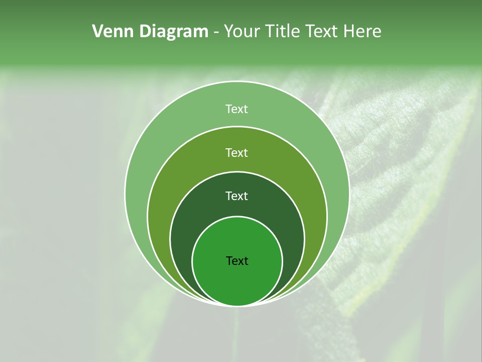Environment Season Clean PowerPoint Template