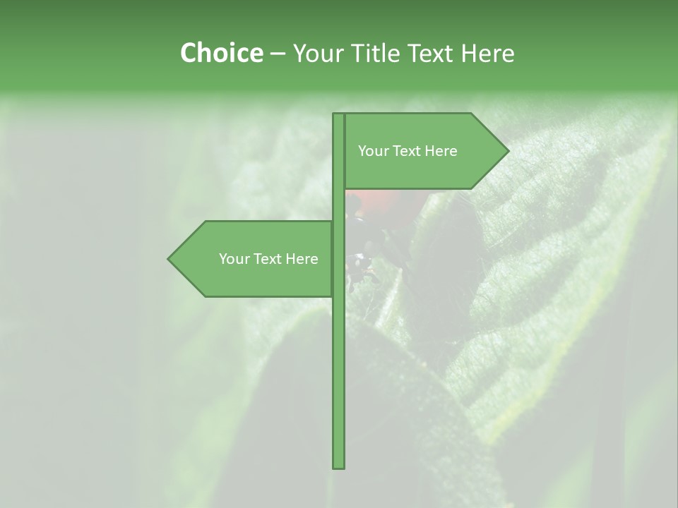 Environment Season Clean PowerPoint Template