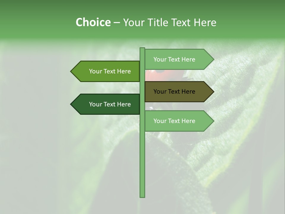 Environment Season Clean PowerPoint Template