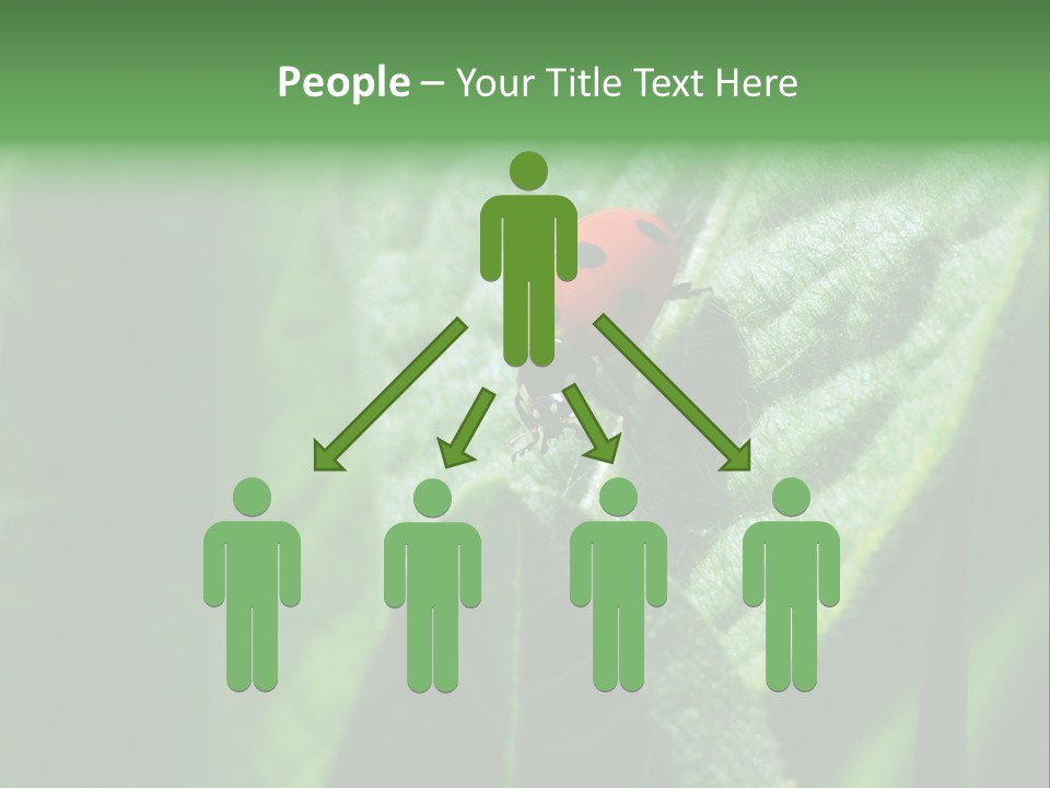 Environment Season Clean PowerPoint Template