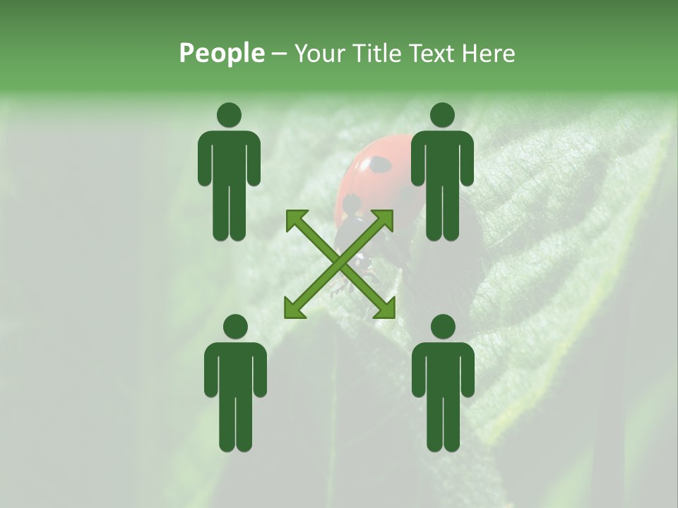 Environment Season Clean PowerPoint Template