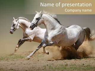 White Horses PowerPoint Template
