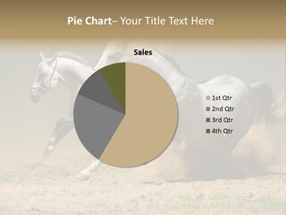 White Horses PowerPoint Template