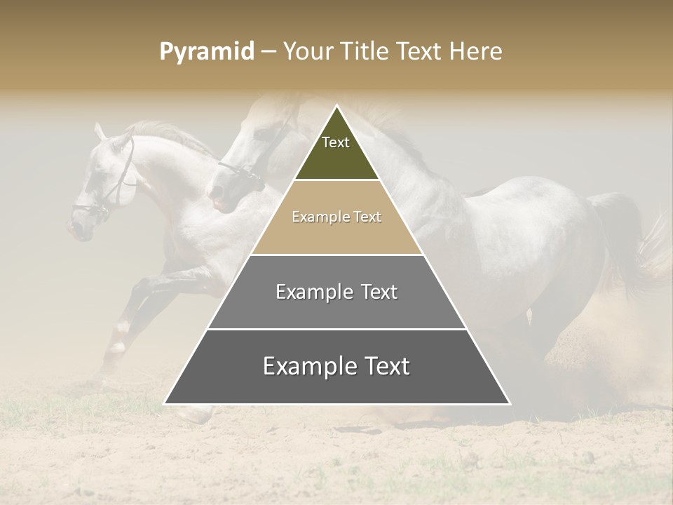 White Horses PowerPoint Template