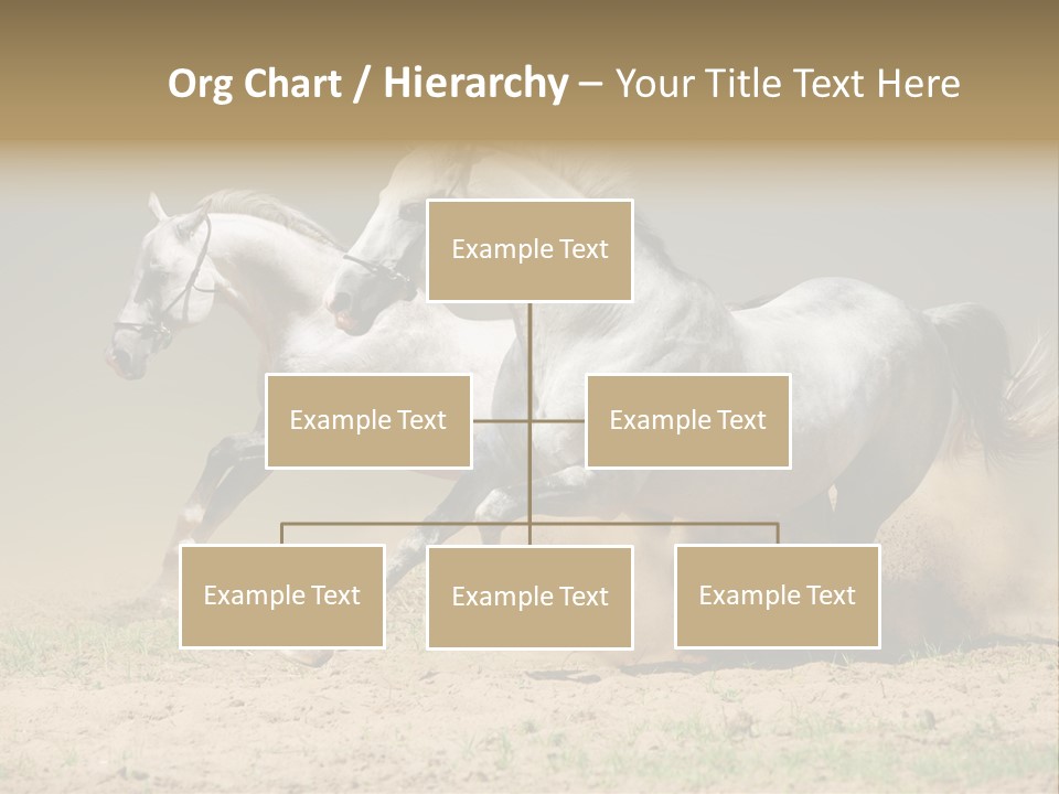 White Horses PowerPoint Template