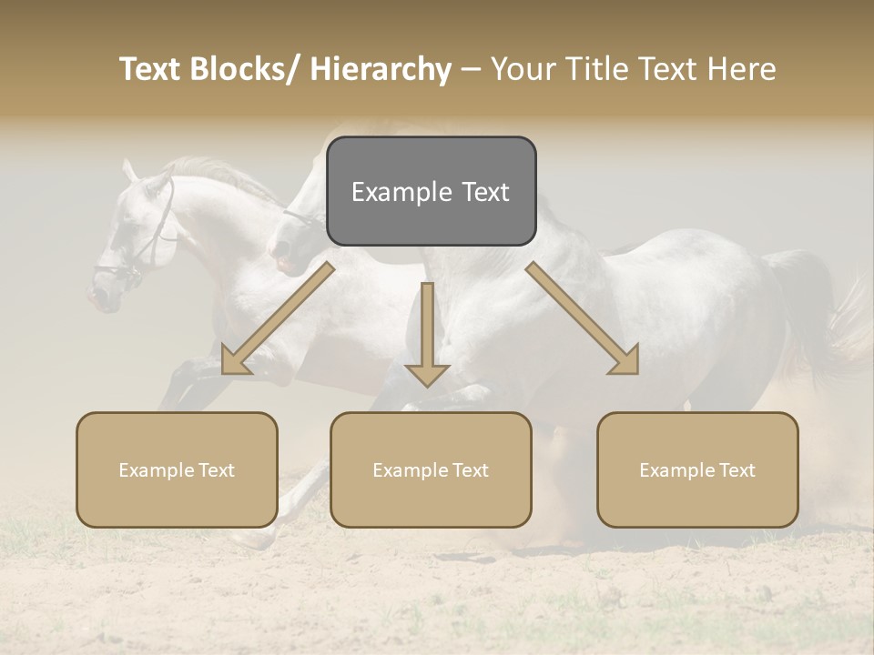 White Horses PowerPoint Template