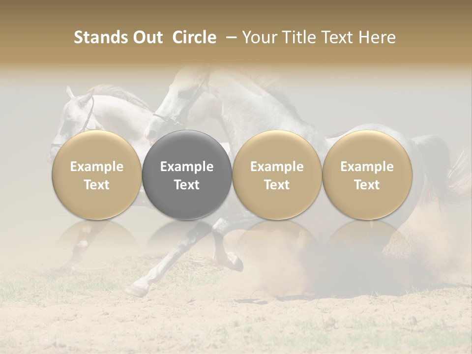White Horses PowerPoint Template