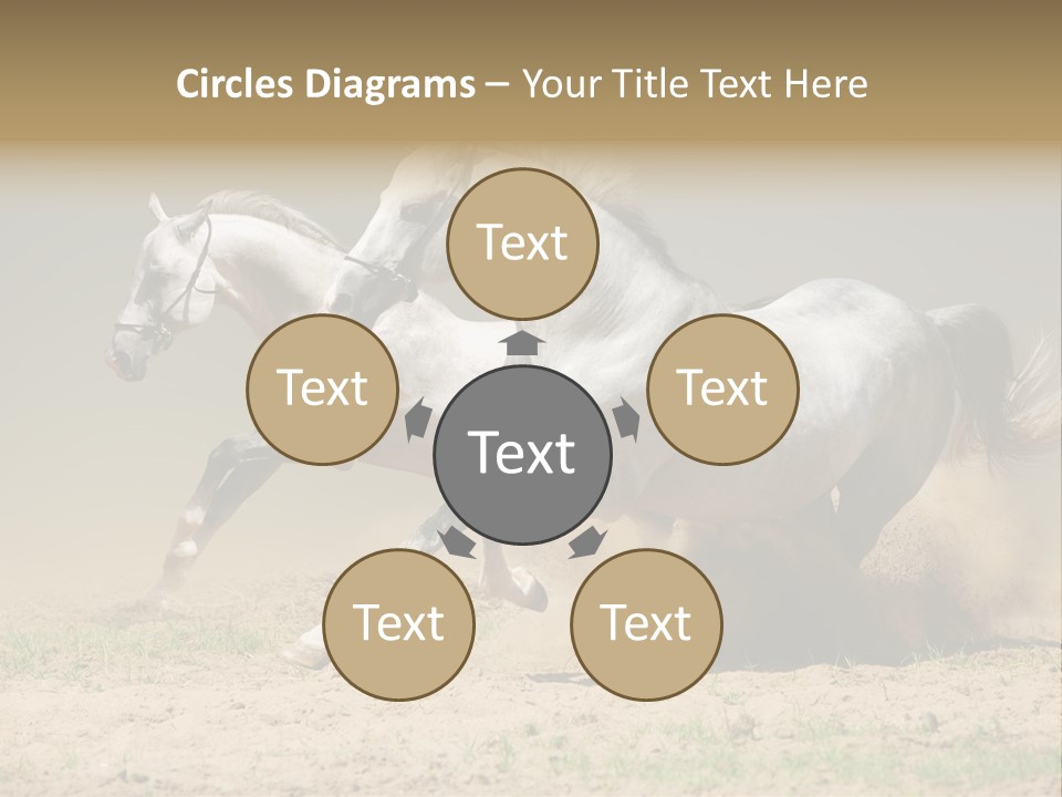 White Horses PowerPoint Template