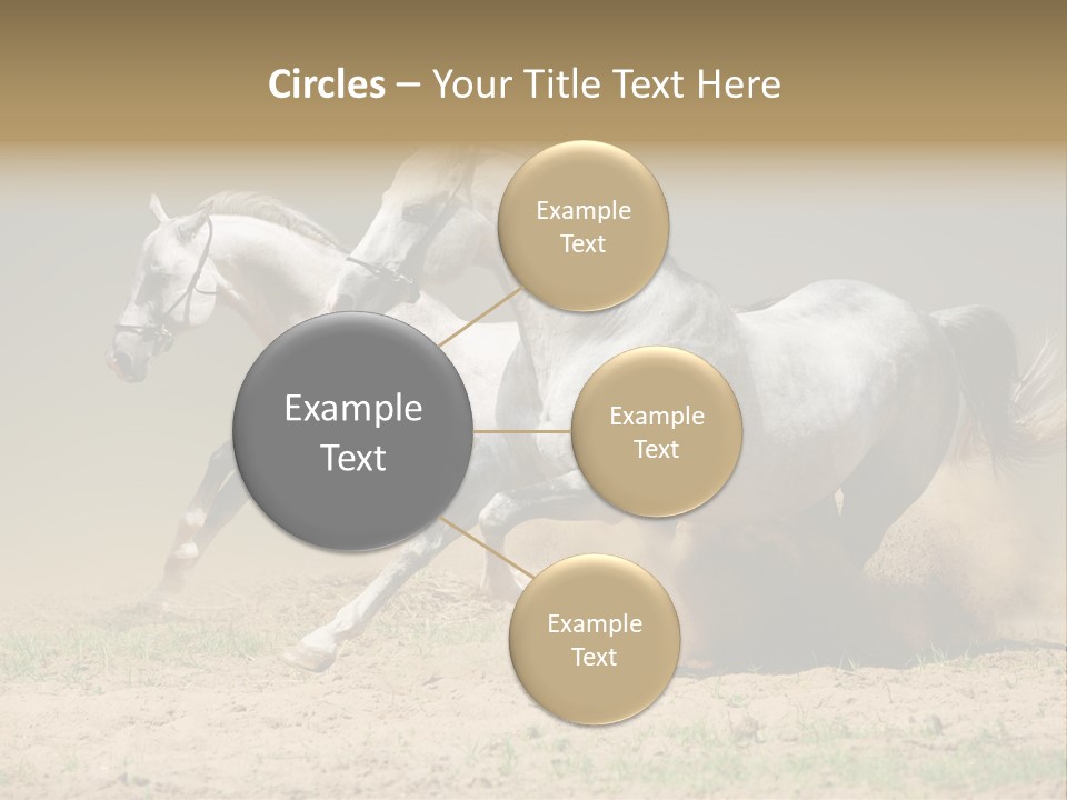 White Horses PowerPoint Template