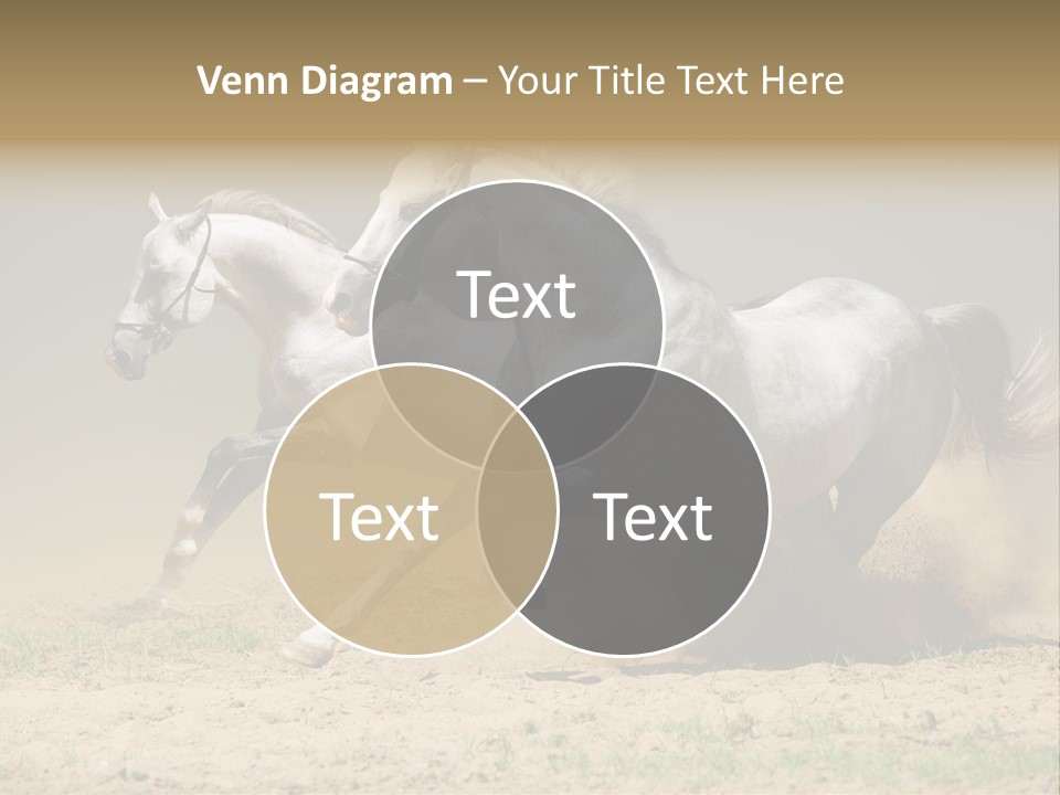 White Horses PowerPoint Template