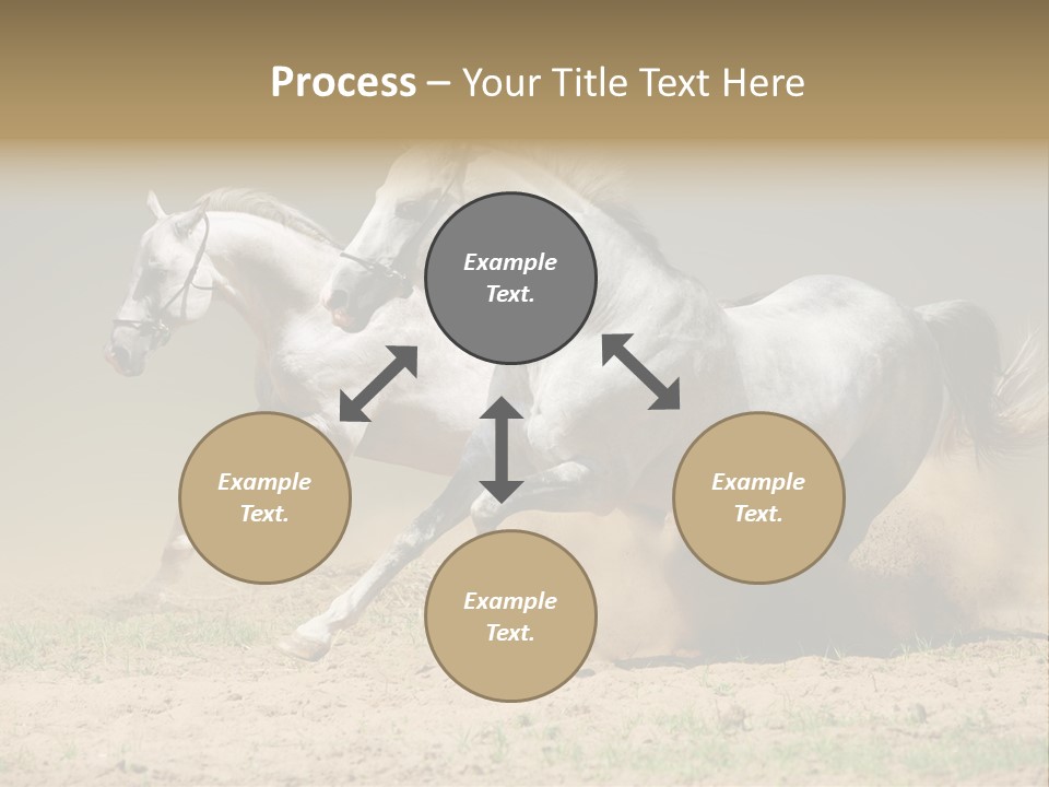 White Horses PowerPoint Template
