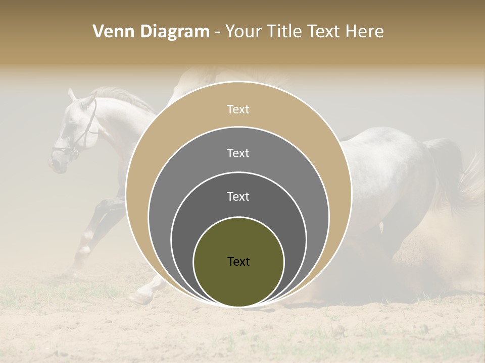 White Horses PowerPoint Template