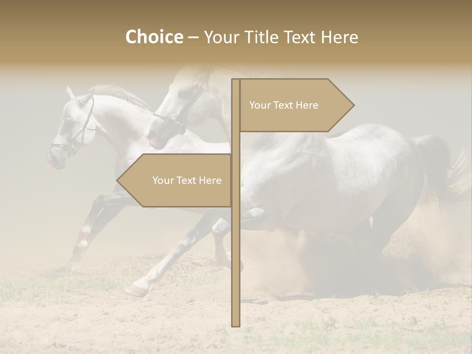 White Horses PowerPoint Template