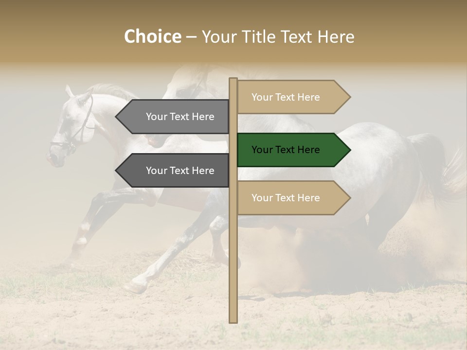 White Horses PowerPoint Template