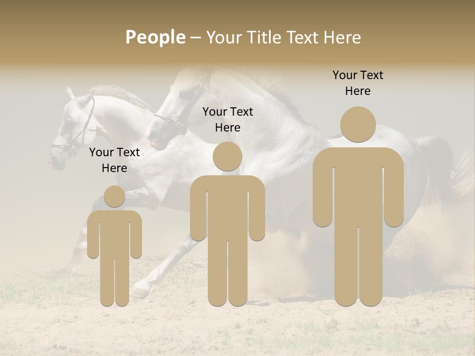 White Horses PowerPoint Template