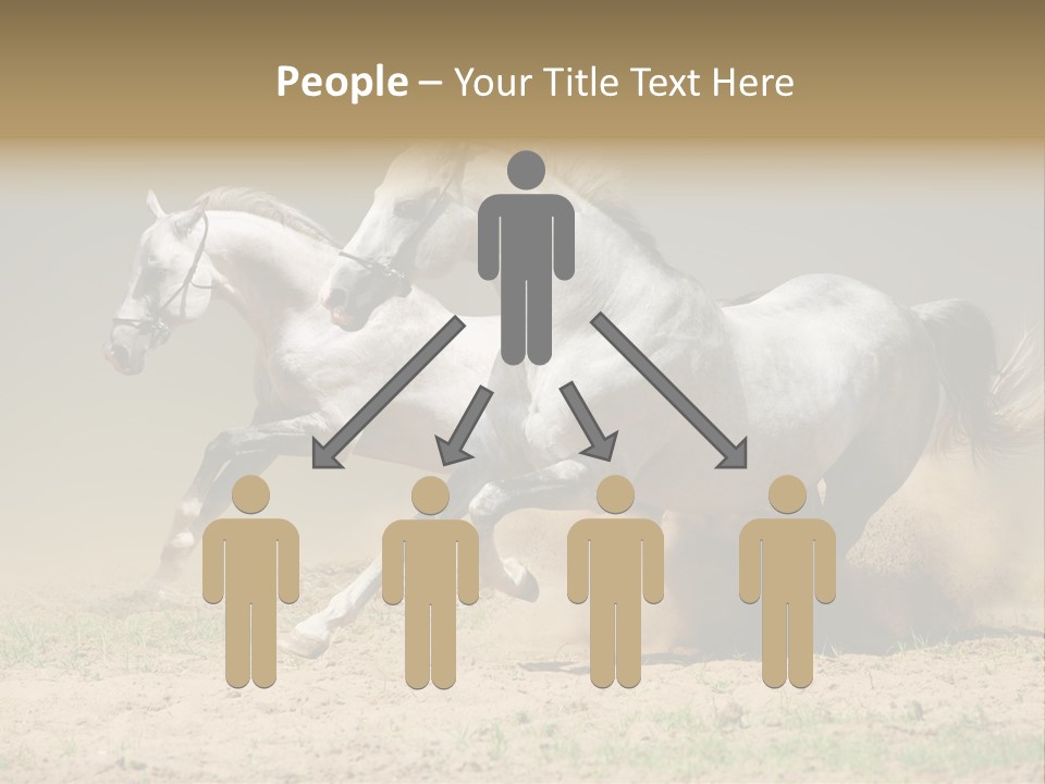 White Horses PowerPoint Template