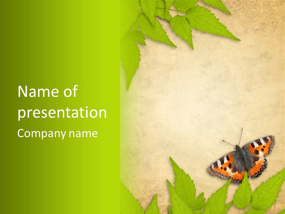 Beautiful Decoration Border PowerPoint Template