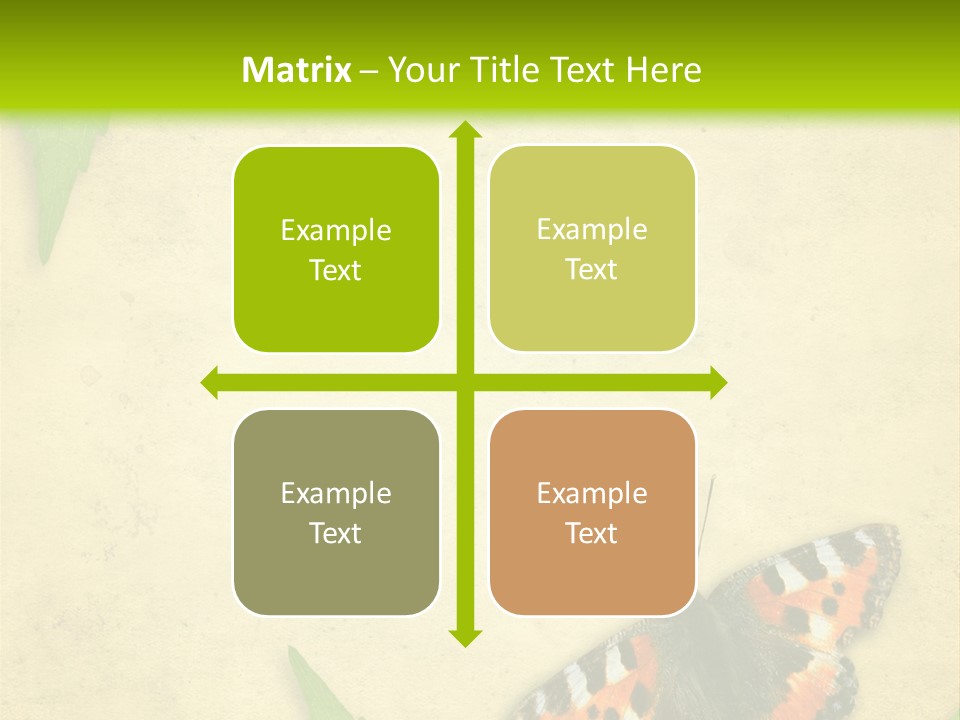 Beautiful Decoration Border PowerPoint Template