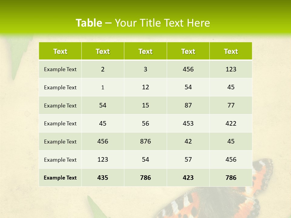 Beautiful Decoration Border PowerPoint Template
