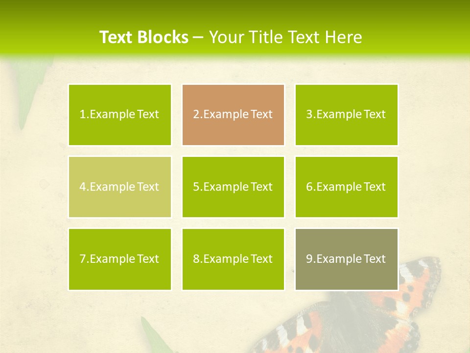 Beautiful Decoration Border PowerPoint Template