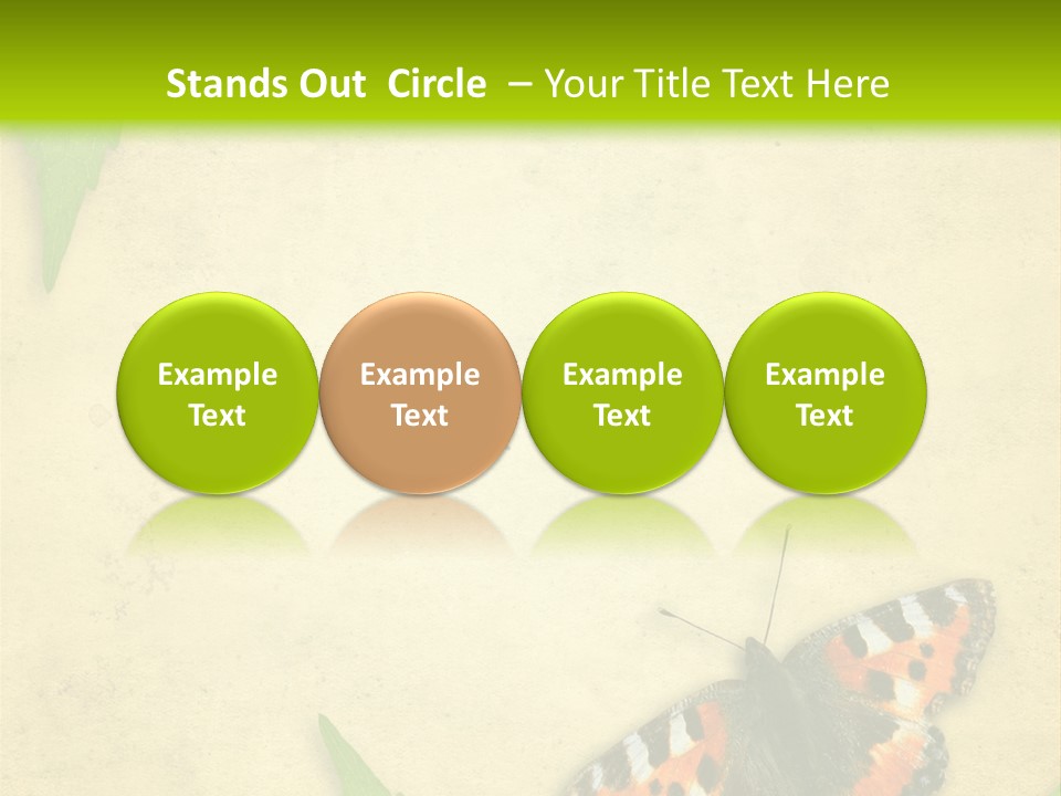 Beautiful Decoration Border PowerPoint Template