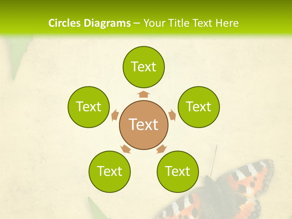 Beautiful Decoration Border PowerPoint Template