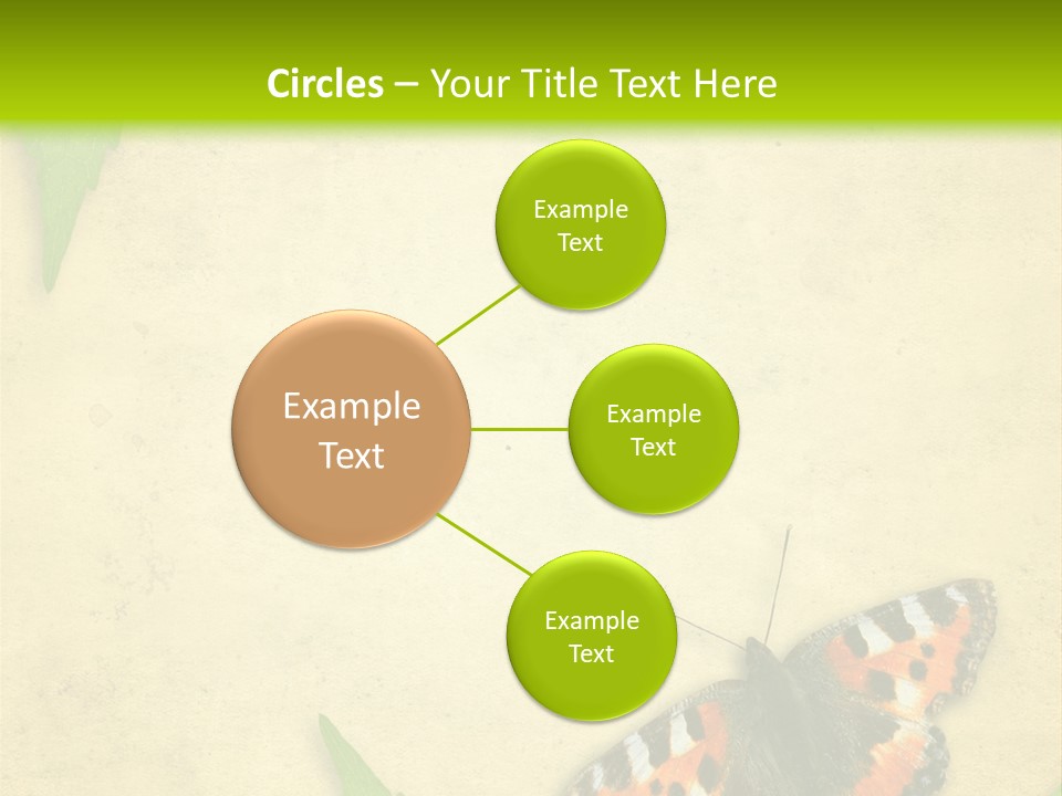 Beautiful Decoration Border PowerPoint Template