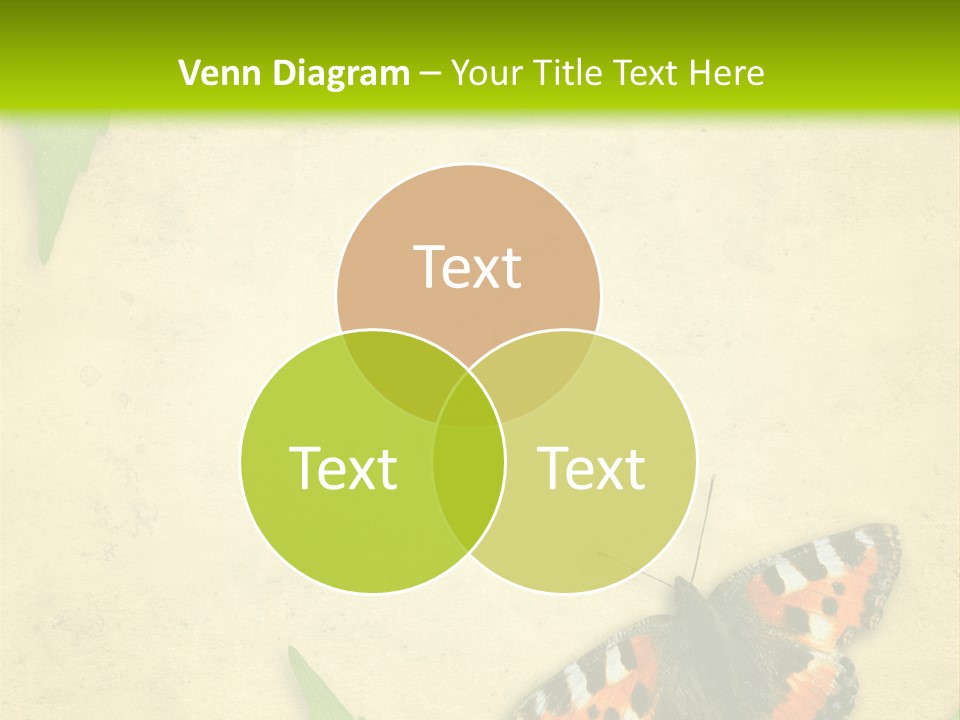 Beautiful Decoration Border PowerPoint Template