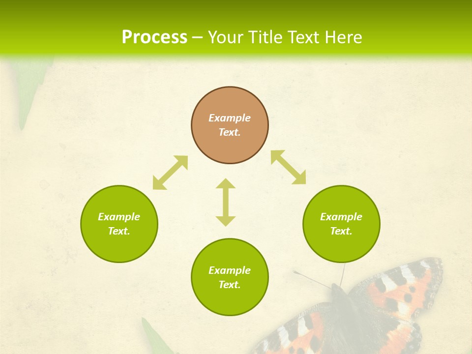 Beautiful Decoration Border PowerPoint Template